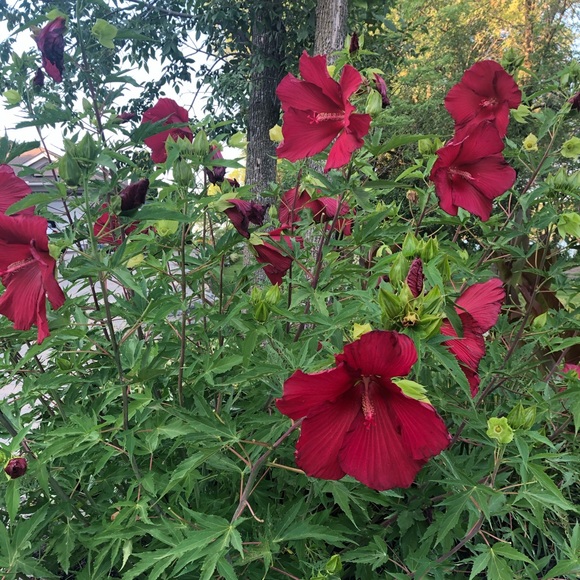 Meet your Posher, Kathlien - Picture 9 of 10